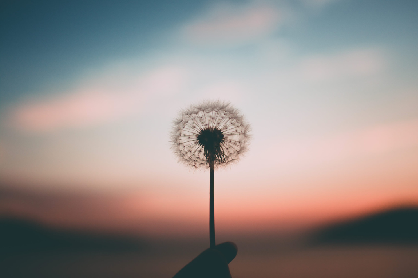 aleksandr ledogorov G JJy Yv dA unsplash