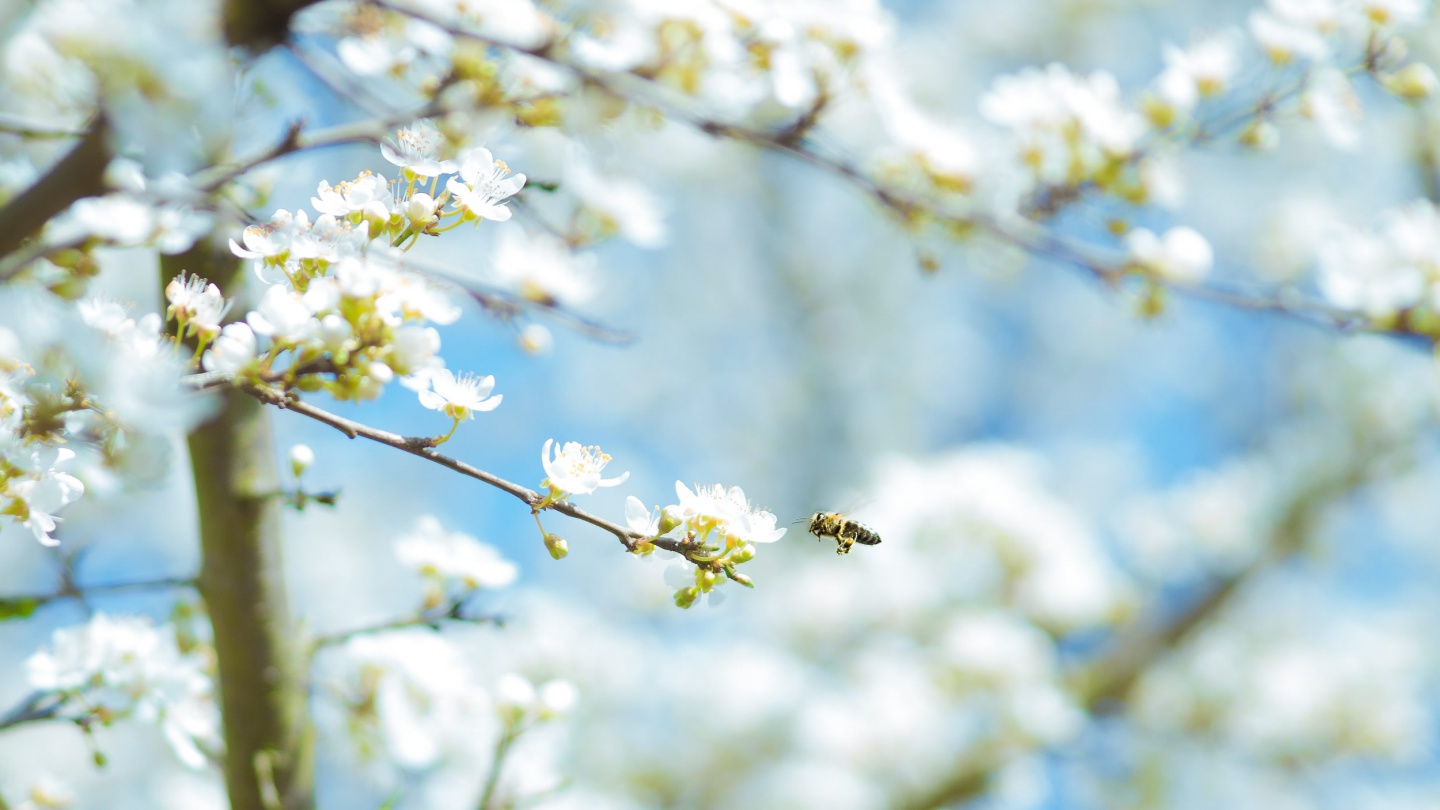 karsten wurth karsten wuerth sF8j0Acen78 unsplash