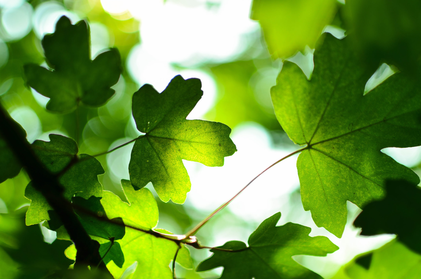 remi walle Ui3bOgnjtl0 unsplash